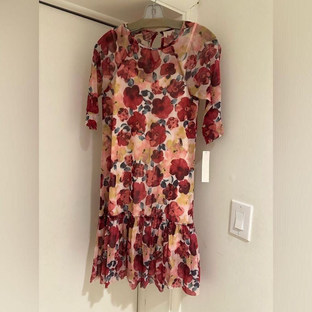 Unbranded Women's Red and Pink Dress